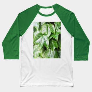 leaves after rain Baseball T-Shirt